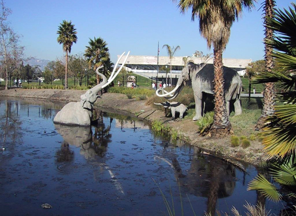 La Brea Tar Pits (13248)